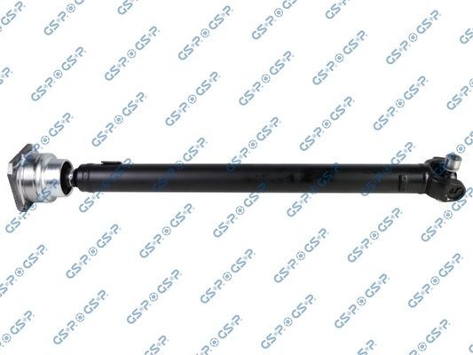 GSP 299303: Cardanas