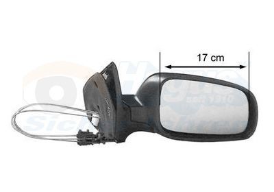 VAN WEZEL 5888812: Specchietto retrovisore esterno * HAGUS * Dx