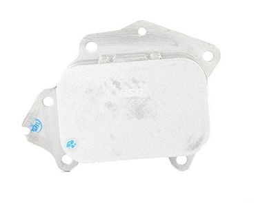 BSG BSG 70-506-004: Radiator ulei, ulei motor
