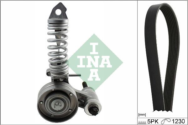INA 529 0296 10: Soonrihmakomplekt
