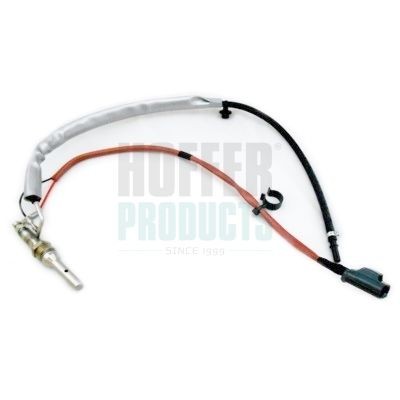HOFFER H1953: Unitate de injectie, regenerare filtru de particule
