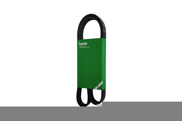 LUCAS 6PK1875L: Soonrihm 21,36, 1875mm, Ribide arv: 6