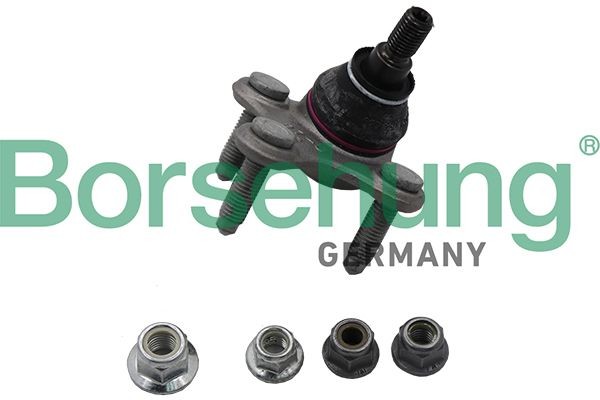 Borsehung B18698: Kande- / juhtliigend paremal
