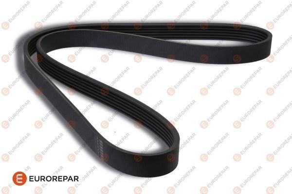 EUROREPAR 1606349680: Multireim 915mm, Ribbeantall: 6