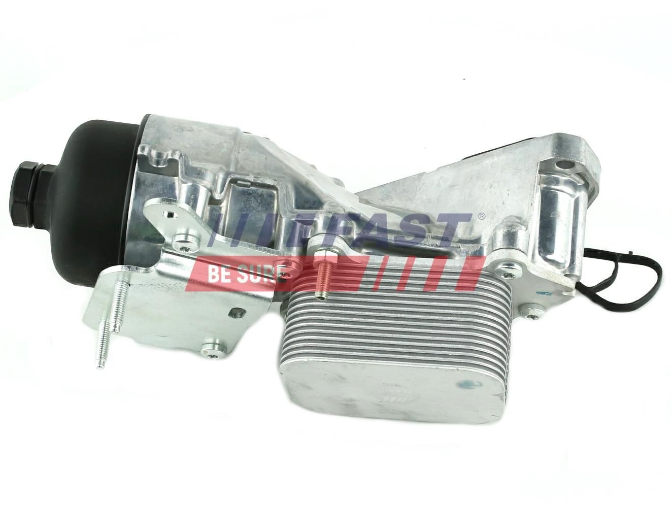 FAST FT55213: Eļļas radiators, Motoreļļa
