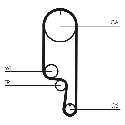CONTITECH CT1008WP2: Pompă apă + kit distribuție dinti: 109