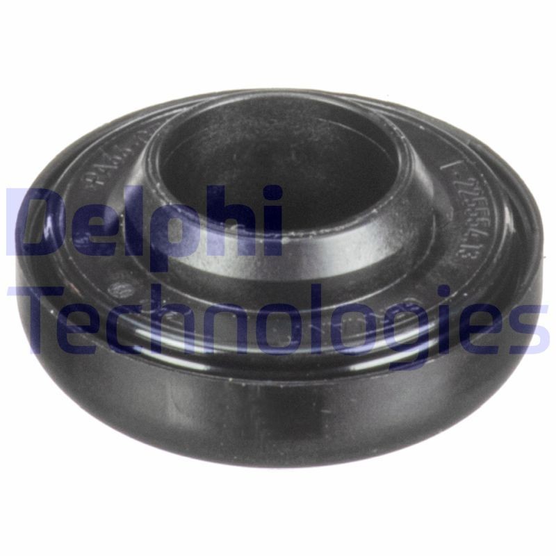 DELPHI CB1029V: Ekspansiooniklapp, kliimaseade