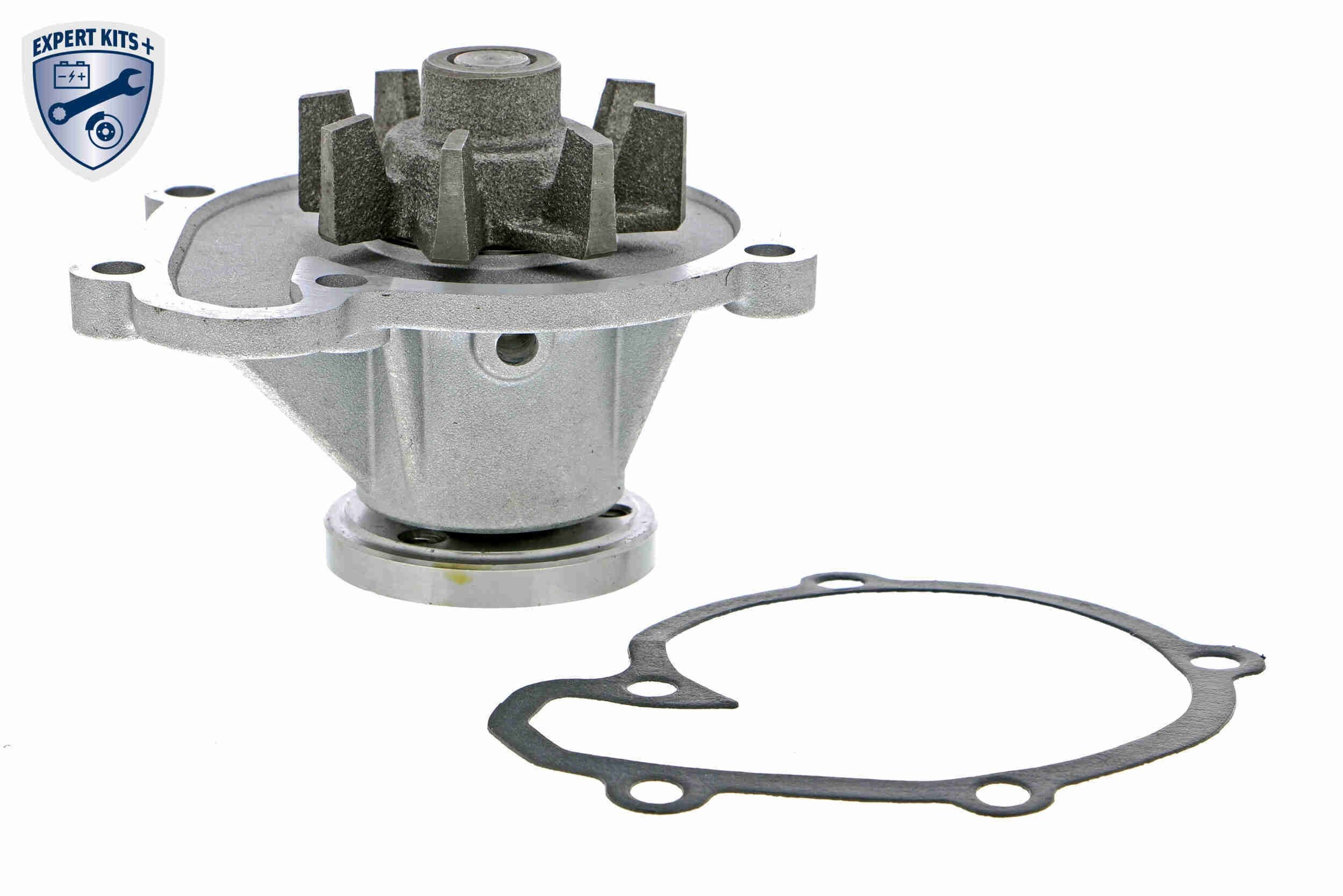 ACKOJA A38-50004: Veepump EXPERT KITS + koos tihendiga