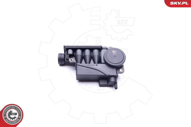 ESEN SKV 31SKV080: Separator ulei, ventilatie bloc motor