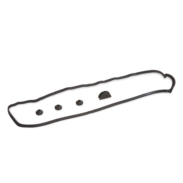 REINZ 15-52244-02: Tihendikomplekt, klapikaan