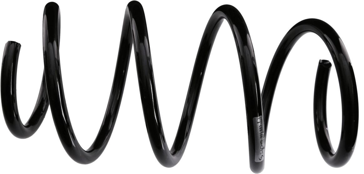 SACHS 993 883: Vedru Esisild