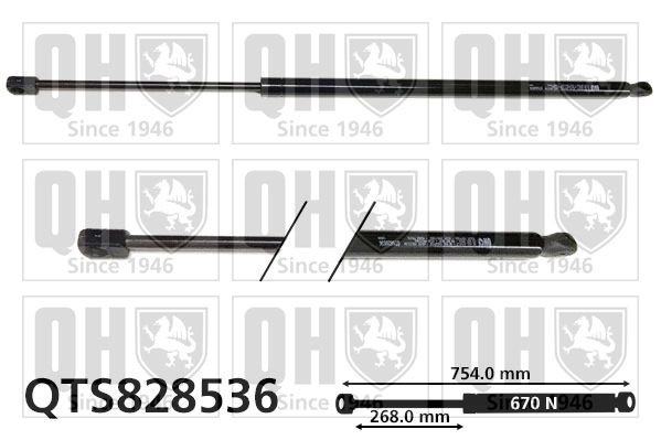 QUINTON HAZELL QTS828536: Baklukedemper 754mm
