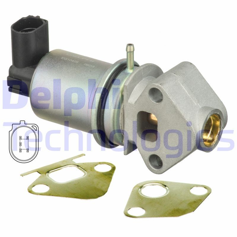 DELPHI EG10408-12B1: EGR-klapp