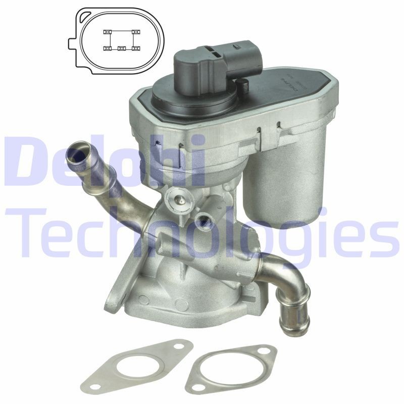 DELPHI EG10436-12B1: EGR-klapp