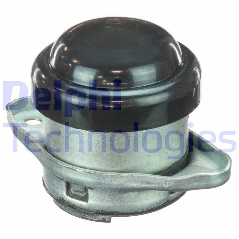 DELPHI TEM077: Supporto motore Dx