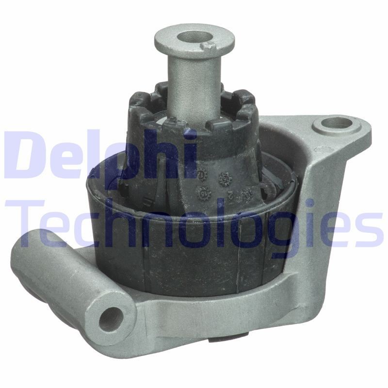 DELPHI TEM091: Variklio montavimas galinis
