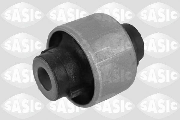 SASIC 2250033: Puks Esisild, taga, all