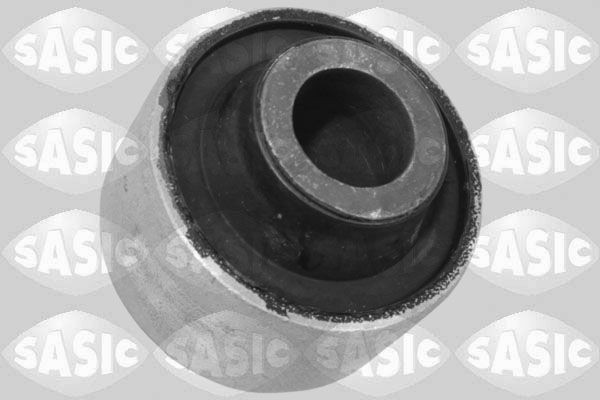 SASIC 2254020: Puks Esisild, ees, all
