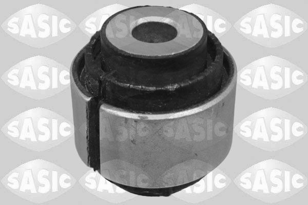 SASIC 2256107: Puks Tagasild