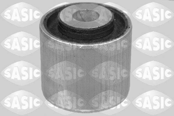 SASIC 2256110: Puks Esisild, ees, all