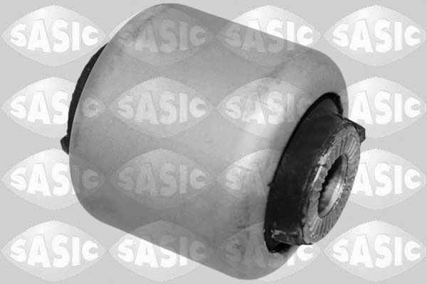 SASIC 2256113: Puks Esisild, taga, all