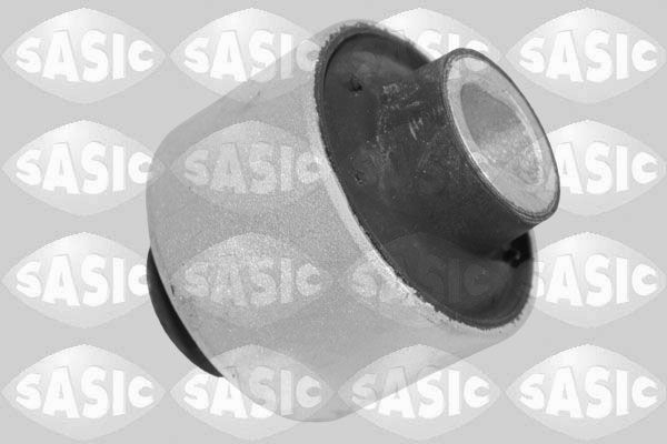 SASIC 2256118: Puks Esisild, taga, all