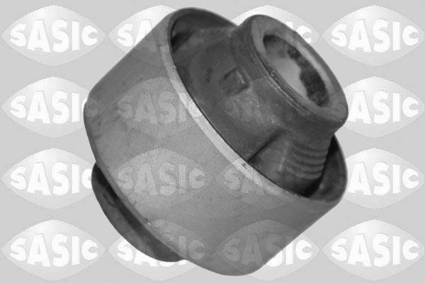 SASIC 2256122: Puks Esisild, taga, all