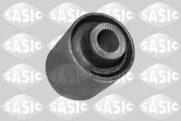 SASIC 2256125: Puks Esisild, ees, all