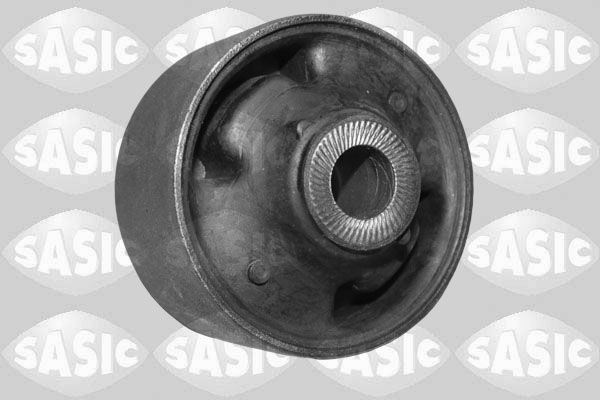 SASIC 2256127: Puks Esisild, taga, all