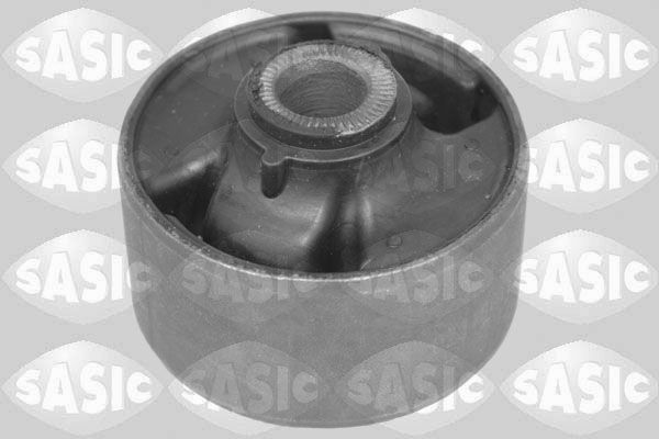 SASIC 2256130: Puks Esisild, taga, all