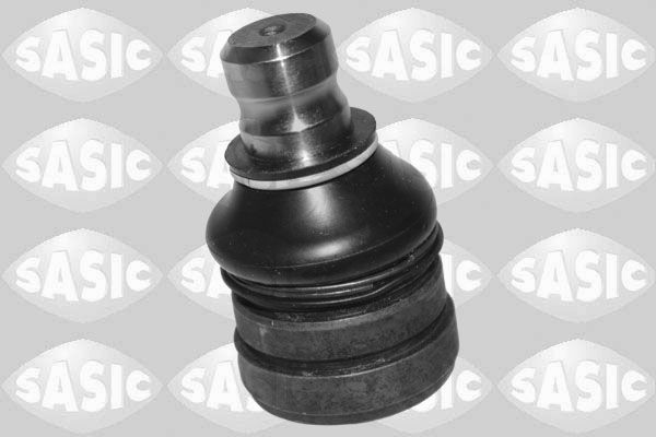 SASIC 7570011: Kande- / juhtliigend Esisild, all