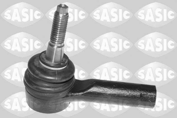 SASIC 7676124: Rooliots Esisild
