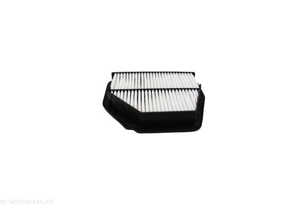 AUTOMEGA 160006410: Distributieriem set + waterpomp
