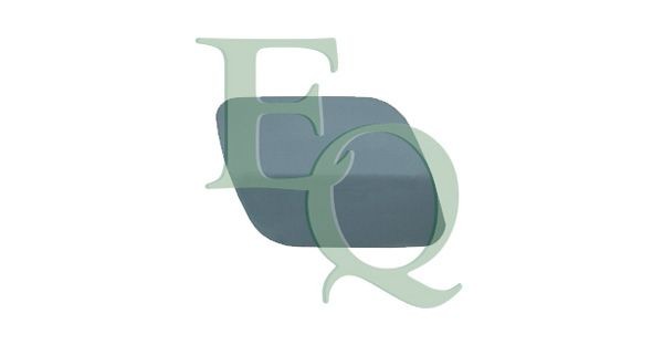 EQUAL QUALITY P6170: Apdare- / Aizsarguzlika, Bampers priekšā pa labi