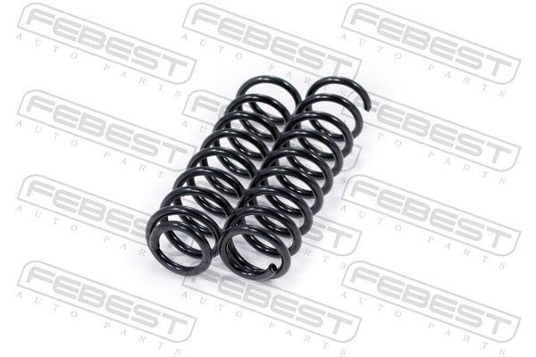 FEBEST 1708-001R-KIT: Set arcuri puntea spate