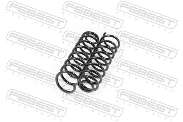FEBEST 2408-004R-KIT: Set arcuri puntea spate
