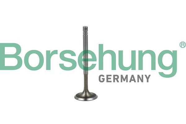 Borsehung B19019: Supapa admisie