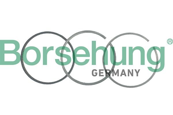 Borsehung B19038: Set segmenti piston