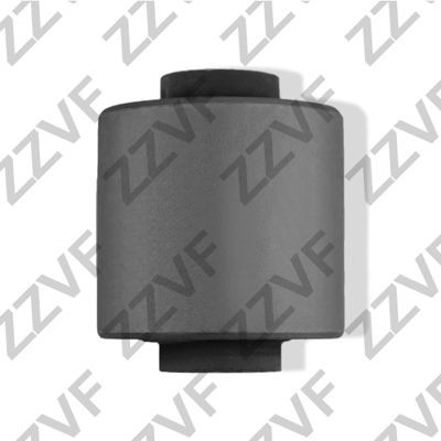 ZZVF ZV1W201: Puks Tagasild, all