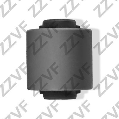 ZZVF ZV28735Y: Puks Tagasild, all