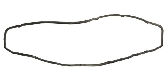 LEMA 20806.64: Garnitura, capac supape