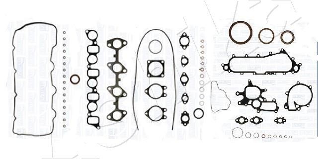 ASHIKA 49-02-205: Hel packningssats, motor