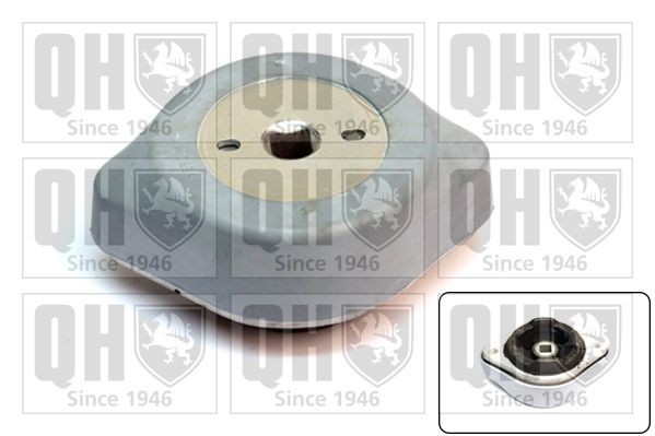 QUINTON HAZELL EM4073: Supporto, Cambio automatico