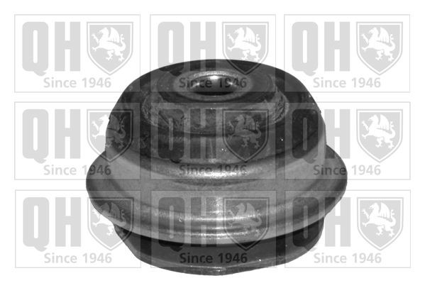 QUINTON HAZELL EMS4091: Suport, trapez