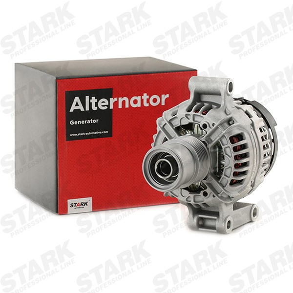 STARK SKGN-0320444: Generaator 110A