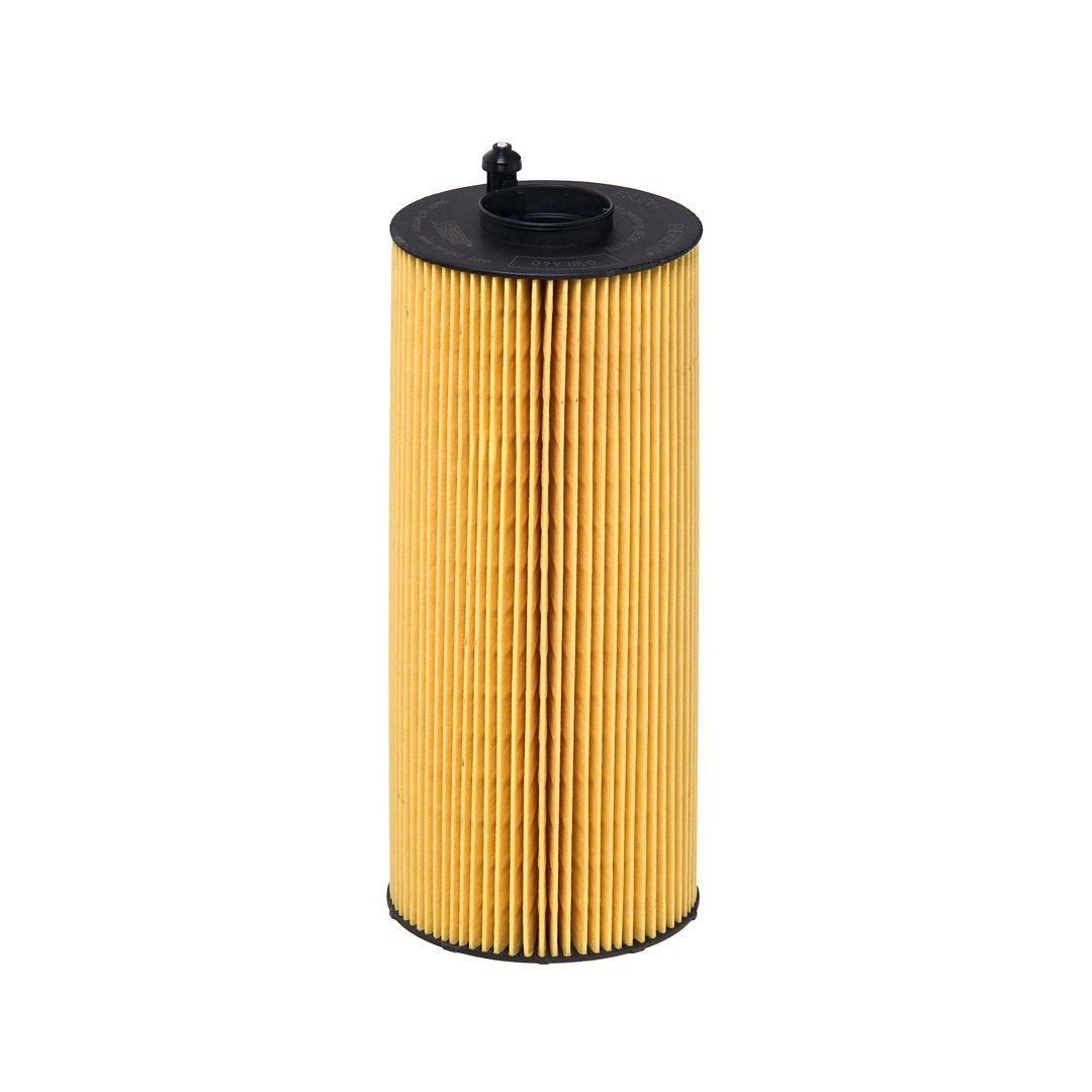 HENGST FILTER E830H D366: Filtro olio