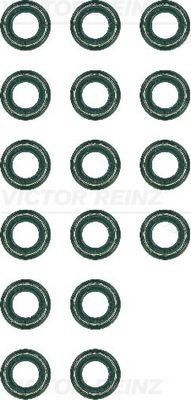 REINZ 12-36416-01: Set garnituri, ax supape