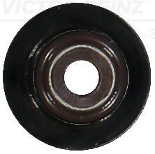 REINZ 70-17500-00: Etansare, supape