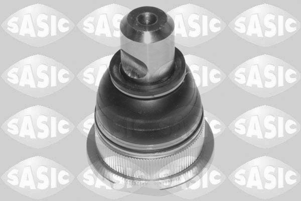 SASIC 7574019: Kande- / juhtliigend Esisild, all