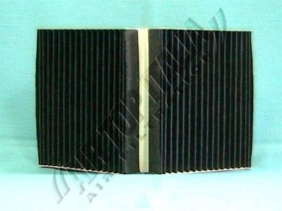 ZAFFO Z495: Filtru, aer habitaclu Filtru carbon activ
